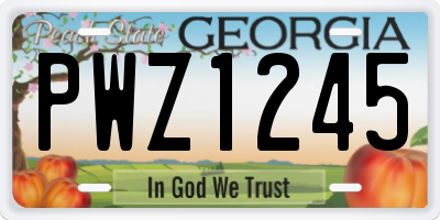 GA license plate PWZ1245