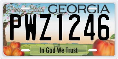 GA license plate PWZ1246