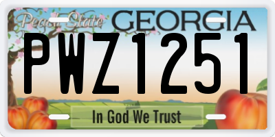 GA license plate PWZ1251