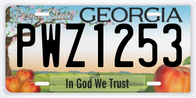 GA license plate PWZ1253