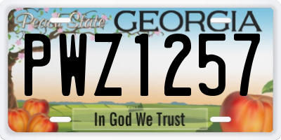 GA license plate PWZ1257
