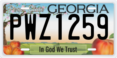 GA license plate PWZ1259