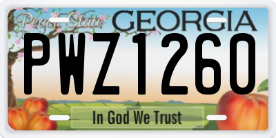 GA license plate PWZ1260