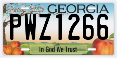 GA license plate PWZ1266