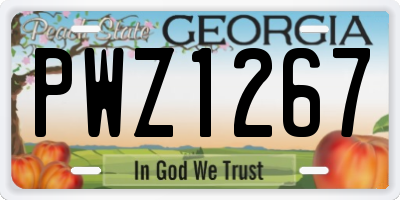 GA license plate PWZ1267