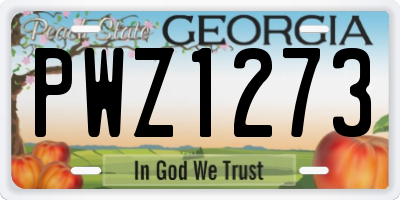 GA license plate PWZ1273