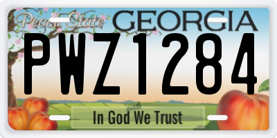 GA license plate PWZ1284
