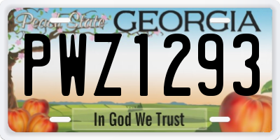 GA license plate PWZ1293