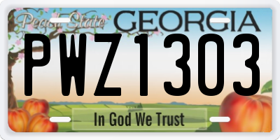 GA license plate PWZ1303