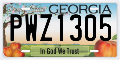 GA license plate PWZ1305