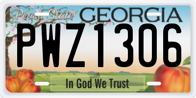 GA license plate PWZ1306