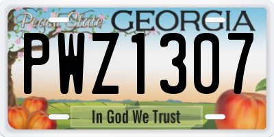 GA license plate PWZ1307