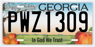 GA license plate PWZ1309