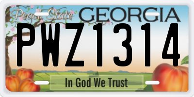 GA license plate PWZ1314