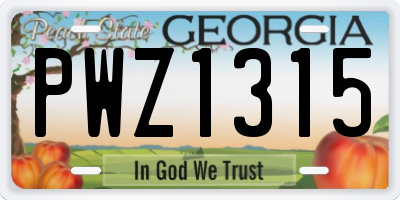 GA license plate PWZ1315