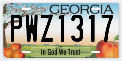 GA license plate PWZ1317
