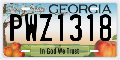GA license plate PWZ1318