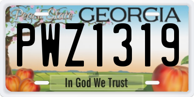 GA license plate PWZ1319