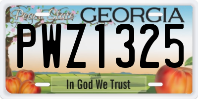 GA license plate PWZ1325
