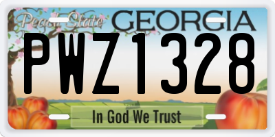 GA license plate PWZ1328