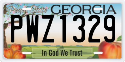 GA license plate PWZ1329