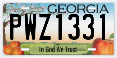 GA license plate PWZ1331