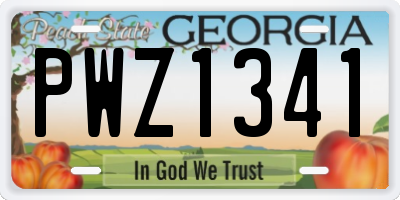 GA license plate PWZ1341