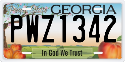 GA license plate PWZ1342