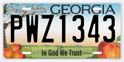 GA license plate PWZ1343
