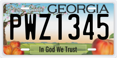 GA license plate PWZ1345