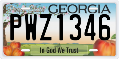 GA license plate PWZ1346