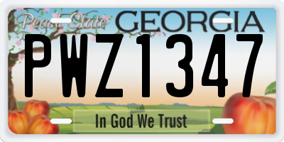 GA license plate PWZ1347
