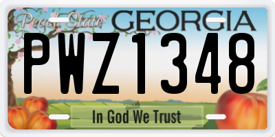 GA license plate PWZ1348