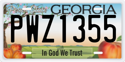 GA license plate PWZ1355