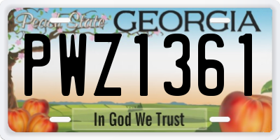 GA license plate PWZ1361