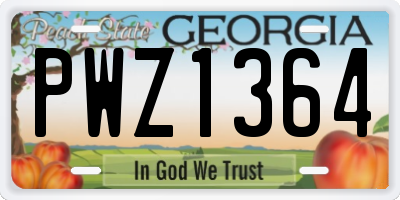 GA license plate PWZ1364