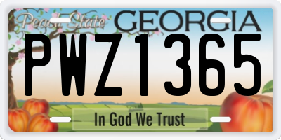 GA license plate PWZ1365