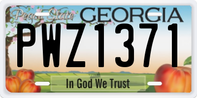 GA license plate PWZ1371