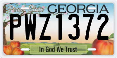 GA license plate PWZ1372