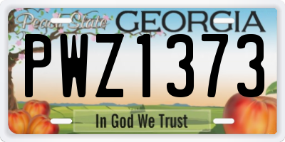 GA license plate PWZ1373