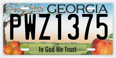GA license plate PWZ1375