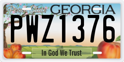 GA license plate PWZ1376
