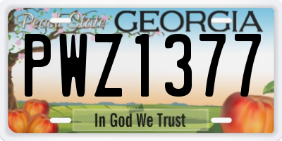 GA license plate PWZ1377