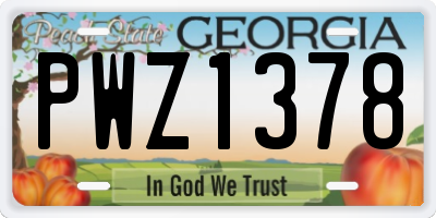GA license plate PWZ1378