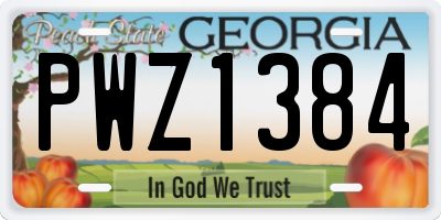 GA license plate PWZ1384