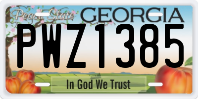 GA license plate PWZ1385