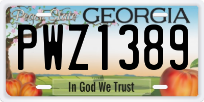 GA license plate PWZ1389