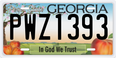 GA license plate PWZ1393