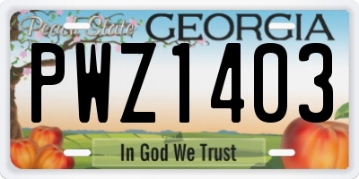 GA license plate PWZ1403