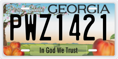 GA license plate PWZ1421